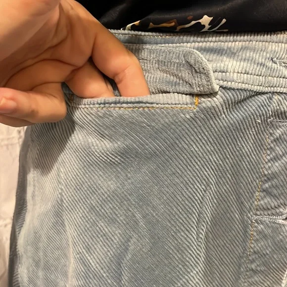 Anthropologie   corduroy a-line skirt blue size M IT HAS POCKETS - Picture 4 of 7